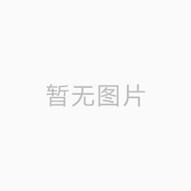 资料整理中...