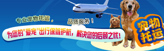 宠物托运